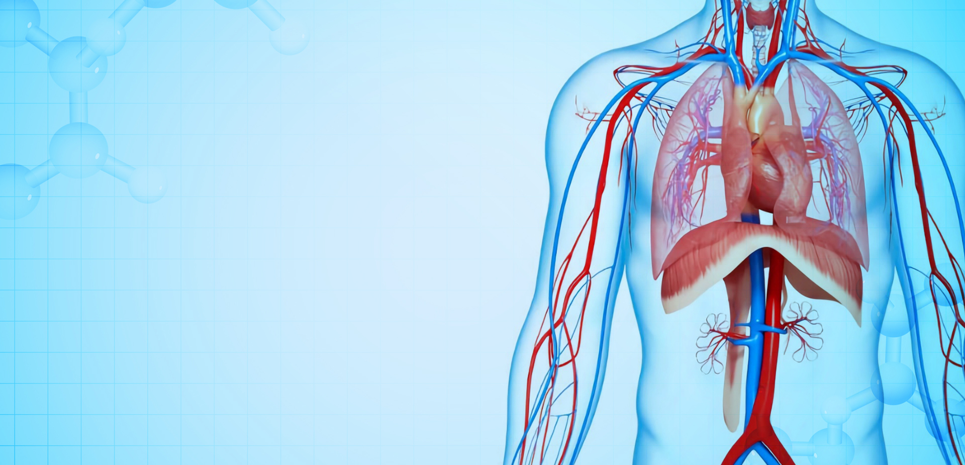 NINGBO LINSTANT POLYMER ÁBHAR ÁBHAR CO,. TEO.