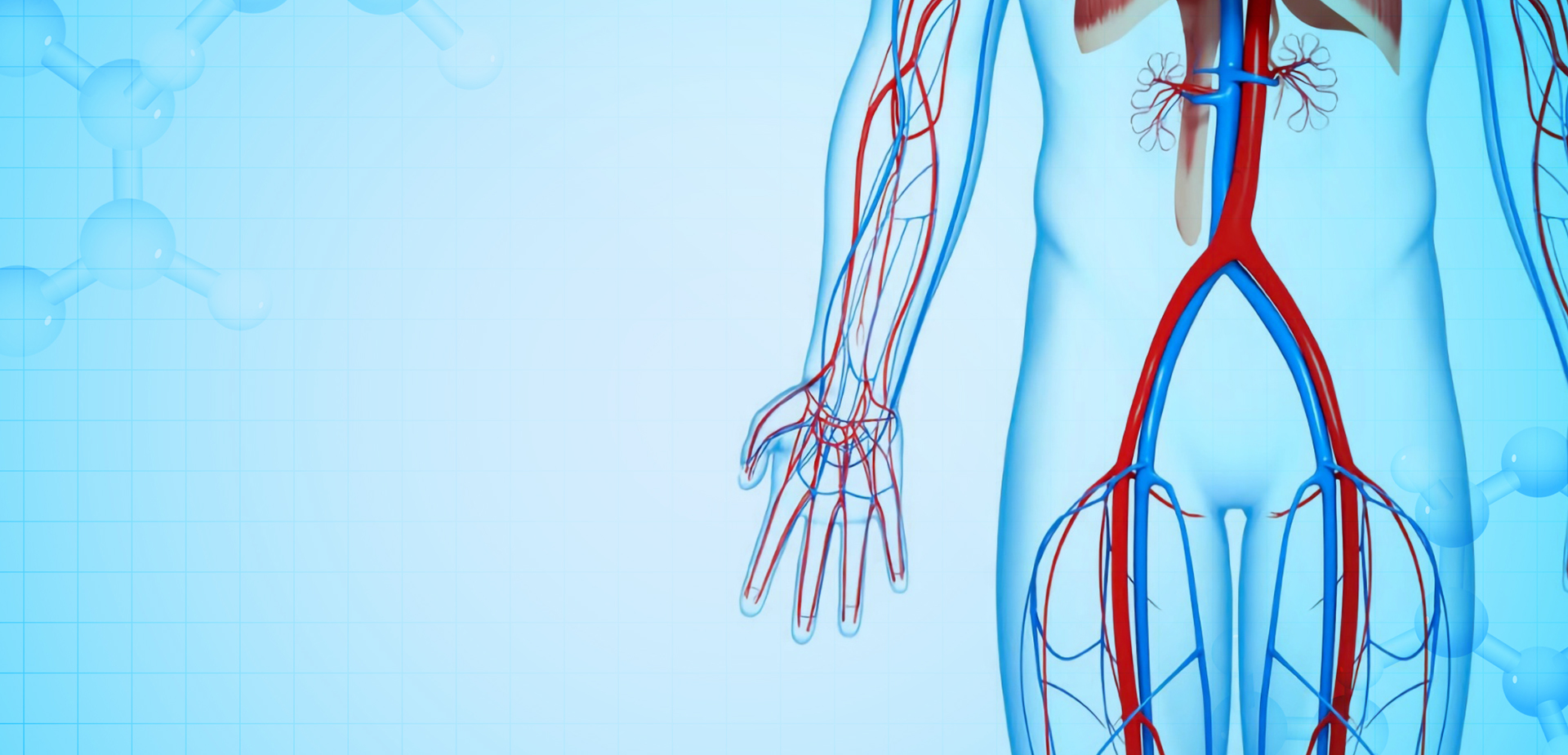 NINGBO LINSTANT POLYMER ÁBHAR ÁBHAR CO,. TEO.