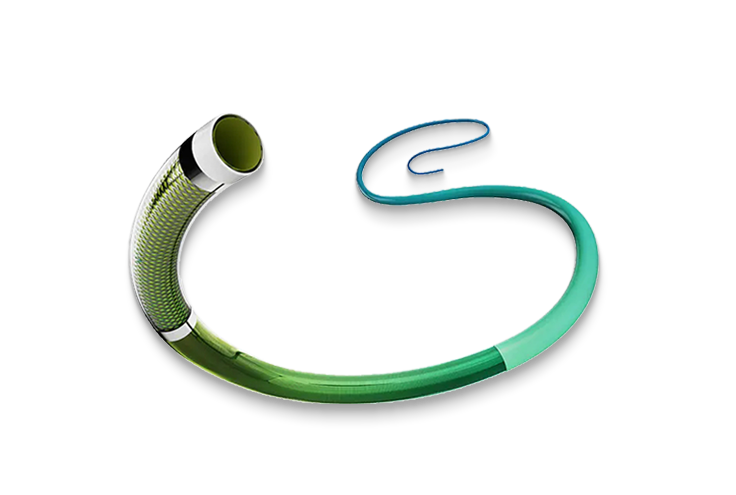 Micrimhilseogra catheter