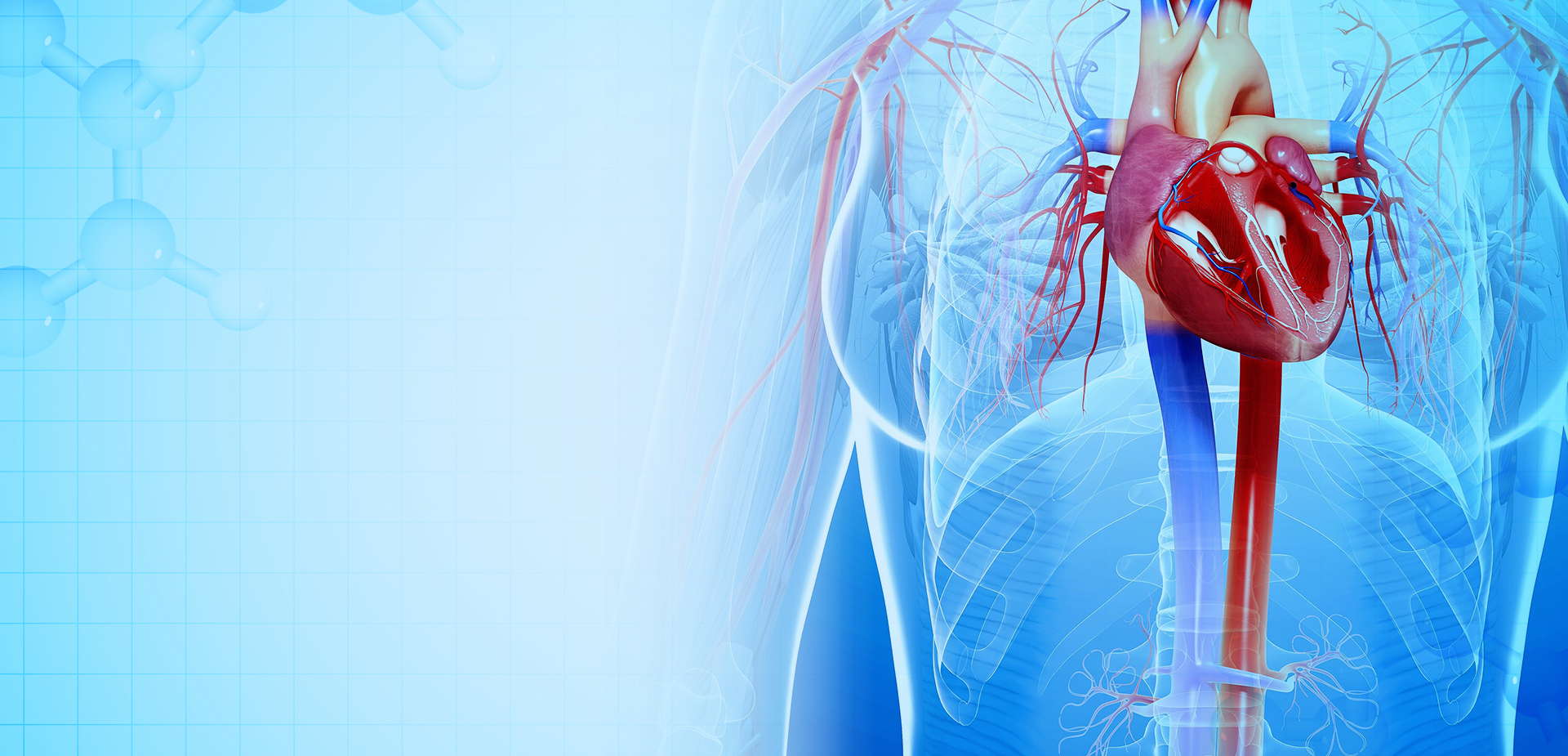 NINGBO LINSTANT POLYMER ÁBHAR ÁBHAR CO,. TEO.