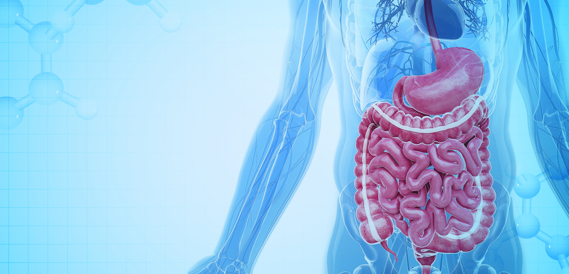 NINGBO LINSTANT POLYMER ÁBHAR ÁBHAR CO,. TEO.