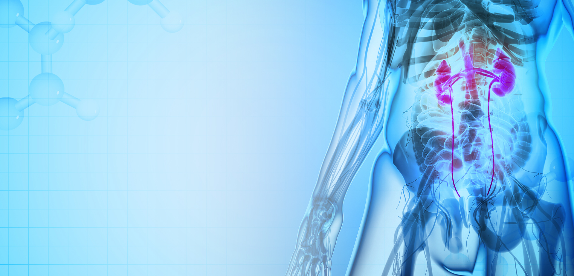 NINGBO LINSTANT POLYMER ÁBHAR ÁBHAR CO,. TEO.